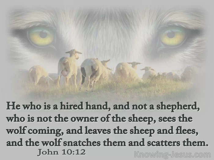 Shepherds Who Don’t Protect the Flock