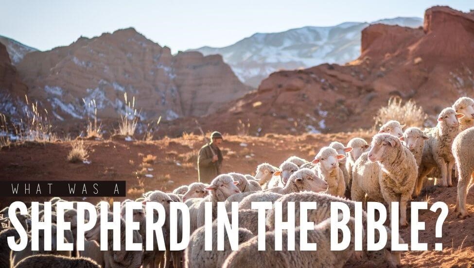 Questioning Shepherds to Determine if they are Shepherds