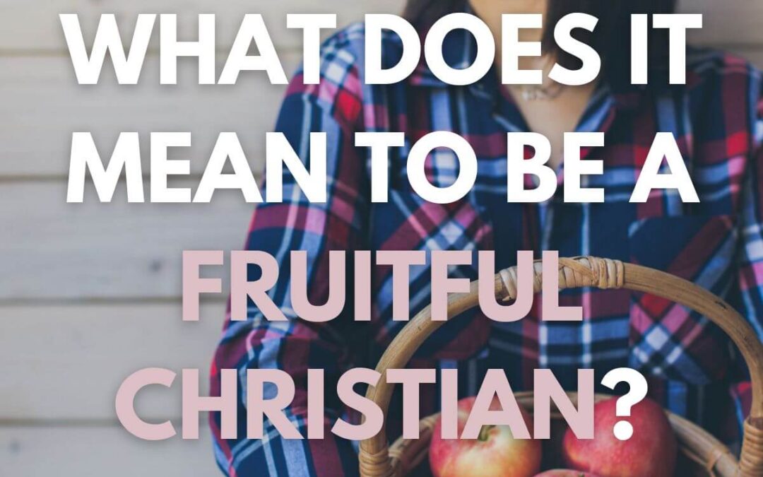 Effective Fruitful Christians Win the War over Ourselves